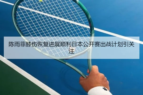陈雨菲膝伤恢复进展顺利日本公开赛出战计划引关注